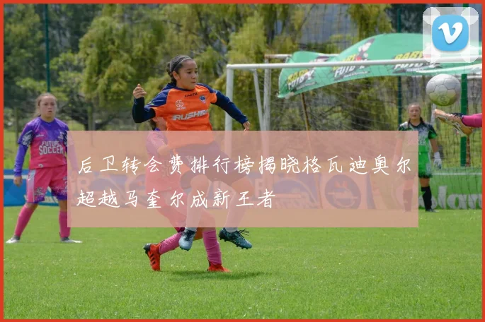 后卫转会费排行榜揭晓格瓦迪奥尔超越马奎尔成新王者